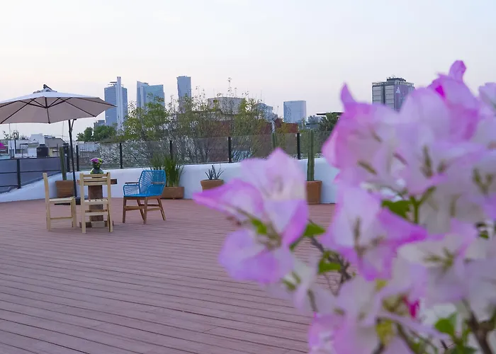 Hotel Nana Vida Cdmx Mexico City